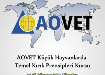 AOVET KÜÇÜK HAYVANLARDA TEMEL KIRIK PRENSİPLERİ KURSU