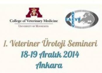 I. Veteriner Üroloji Semineri 18-19 Aralık 2014 Ankara