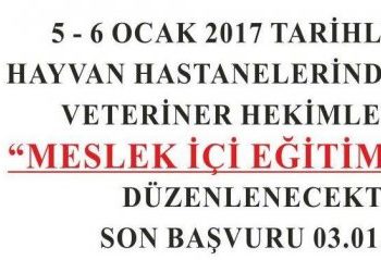 Muğla Veteriner Hekimleri Odası Meslek İçi Eğitim Düzenliyor