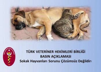Sokak Hayvanları Sorunu Çözümsüz Değildir!