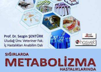 SIĞIRLARDA METABOLİZMA HASTALIKLARINDA GÜNCEL YENİLİKÇİ PRATİK TEŞHİS VE TEDAVİ YÖNTEMLERİ SEMİNERİ
