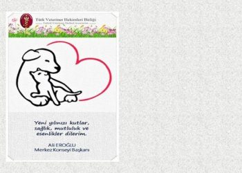 Yeni Yılınız Kutlu olsun