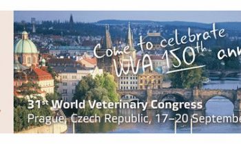 31. Dünya Veteriner Hekimler Kongresine Katıldık