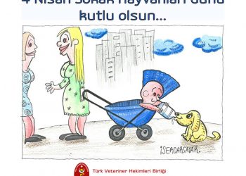 4 Nisan Sokak Hayvanları Günü