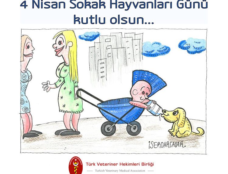 4 Nisan Sokak Hayvanları Günü