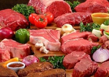 16 EKİM DÜNYA GIDA GÜNÜ BASIN BİLDİRİSİ