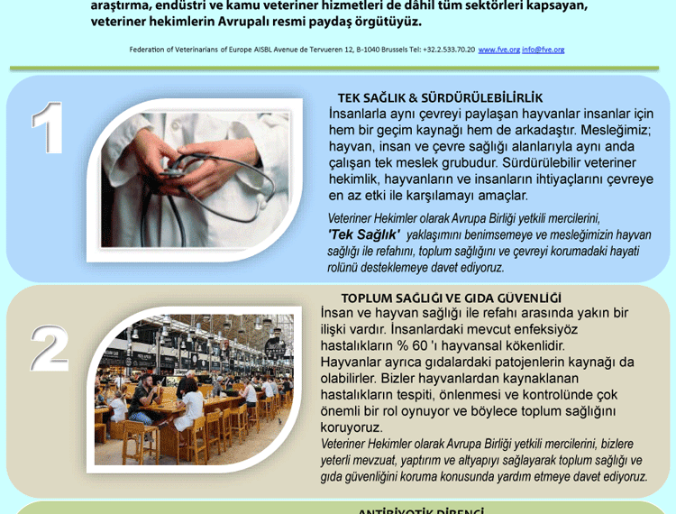 Avrupa Veteriner Hekimler Federasyonu 2019 Seçimleri Manifestosu