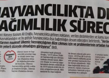 Hayvancılıkta dışa bağımlılık sürecek