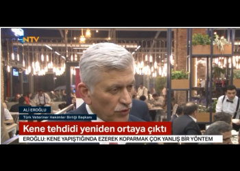 Yaz aylarında keneye karşı alınması gereken önlemler 29.05.2019