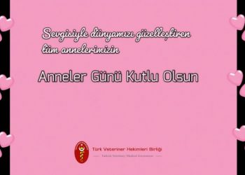 Anneler Günü Kutlu Olsun