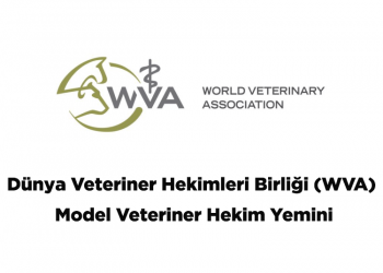 Dünya Veteriner Hekimleri Birliği (WVA) Model Veteriner Hekim Yemini