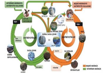 Antibiyotik Farkındalık Haftası, 14-20 Kasım 2016
