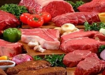 16 EKİM DÜNYA GIDA GÜNÜ – 2016