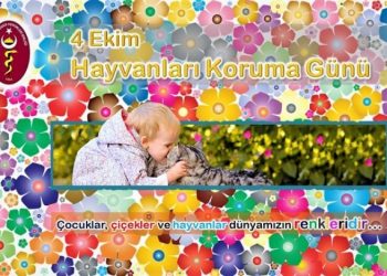 Türk Veteriner Hekimleri Birliği’nin 4 Ekim Dünya Hayvan Hakları Koruma Günü İle İlgili Açıklaması