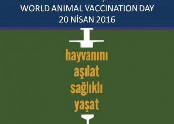 DÜNYA HAYVANLARI AŞILAMA GÜNÜ (20 NİSAN 2016)