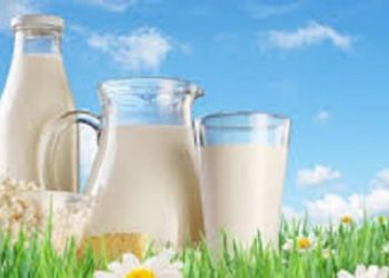 DÜNYA SÜT GÜNÜ 01 HAZİRAN 2017