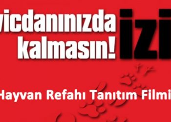 Hayvan Refahı Sinevizyon