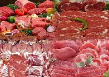 ÜRETİMİ ENGELLEYEN TÜKETİCİYE YANSIMAYAN ET İTHALATI BASIN BİLDİRİSİ