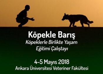 Köpeklerle Birlikte Yaşama Çalıştayı