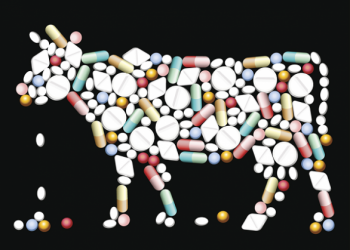 KÜRESEL TEHDİT – ANTİMİKROBİYAL DİRENÇ