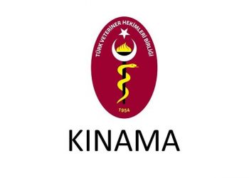 Barışın şehri Kudüs üzerinden kanlı ellerinizi çekin!