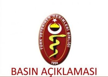 BAKANLIK DENETİMLERİ YETERSİZ