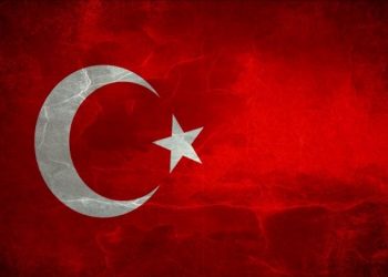 ZEYTİN DALI OPERASYONUNU DESTEKLİYORUZ