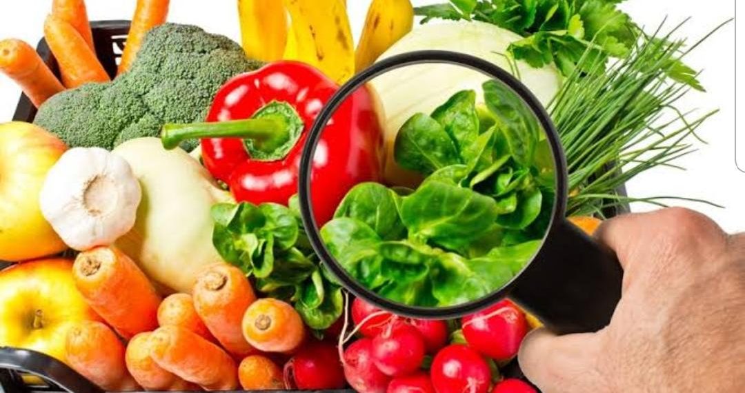 Sağlıklı ve güvenli gıda herkesin hakkı