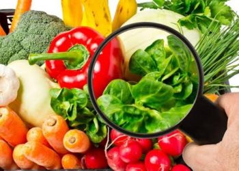 Sağlıklı ve güvenli gıda herkesin hakkı