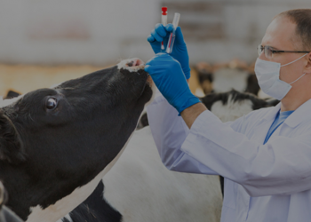 “Hayvancılık Sektörünün Gelişimi İçin Taşra Teşkilatları Yeniden Kurulmalı”