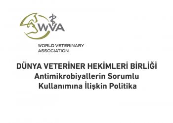 DVHB – Antimikrobiyallerin Sorumlu Kullanımına İlişkin Politika