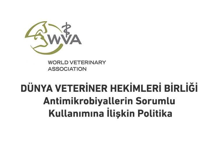DVHB – Antimikrobiyallerin Sorumlu Kullanımına İlişkin Politika