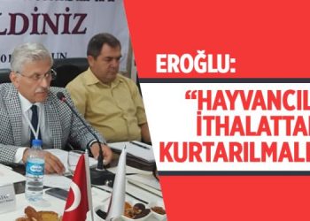 Türk Veteriner Hekimleri Birliği Samsun’da toplandı