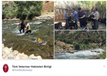 Dr. Bekir Pakdemirli @bekirpakdemirli: Her şartta işini gönülden yapan tüm kardeşlerimi kutluyorum.