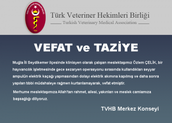 Vefat ve Taziye