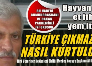 Hayvancılıkta dışa bağımlılıktan nasıl kurtuluruz