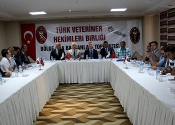 Türk Veteriner Hekimleri Birliği: Erken kuzu kesimi 30 bin ton et kaybına neden oluyor
