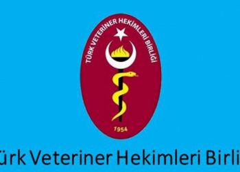 Yol haritası değerlendirilecek