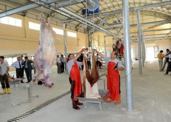 ‘Veteriner Hekim gözetimindeki geçici kesim yerleri tercih edilmeli’