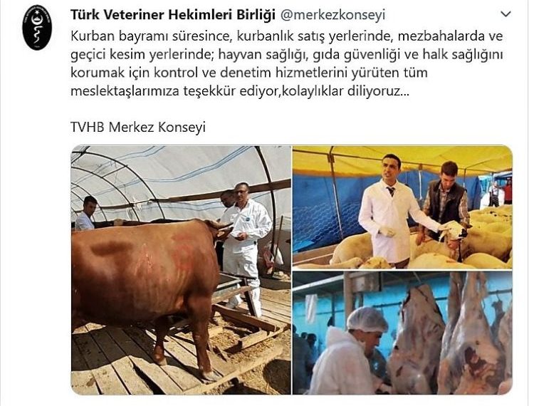 Meslektaşlarımıza teşekkür.