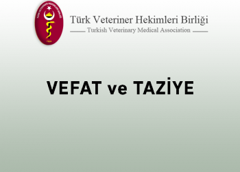 Vefat ve Taziye