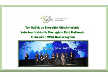 Tek Sağlık ve Ekosağlık Girişimlerinde  Veteriner Hekimlik Mesleğinin Rolü Hakkında  Incheon’un WVA Deklerasyonu