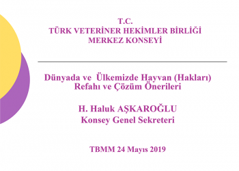 Dünyada ve Ülkemizde Hayvan (Hakları) Refahı ve Çözüm Önerileri