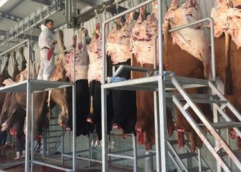 ‘Veteriner Hekim gözetimindeki geçici kesim yerleri tercih edilmeli’