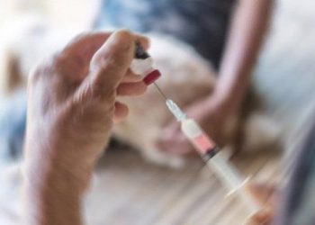 “Türkiye’de yıllık 230-240 bin insanın kuduz şüpheli ısırık vakasıyla karşılaşıyor”