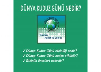 Dünya Kuduz Günü Nedir?