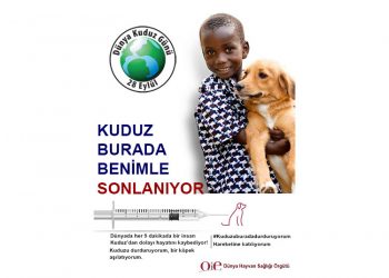 Dünya Hayvan Sağlığı Örgütü #Kuduzu Burada Sonlandır