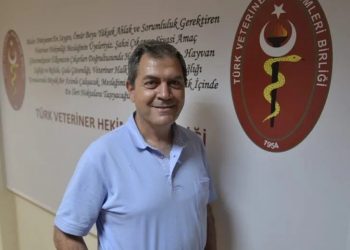 TVHB Genel Sekreteri Aşkaroğlu: Yumurta ihracatında 3’üncü ülkeyiz