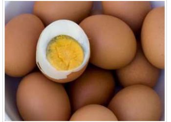 “Dünyayı hayvansal protein tüketen toplumlar yönetiyor”