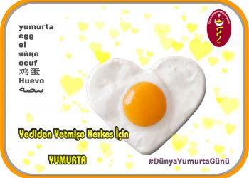 11 Ekim Dünya Yumurta Günü